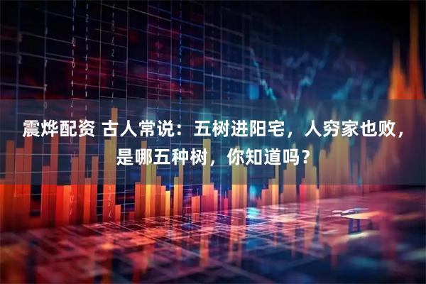 震烨配资 古人常说：五树进阳宅，人穷家也败，是哪五种树，你知道吗？