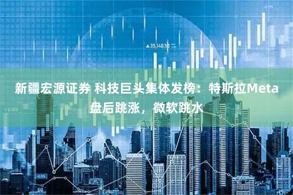 新疆宏源证券 科技巨头集体发榜：特斯拉Meta盘后跳涨，微软跳水